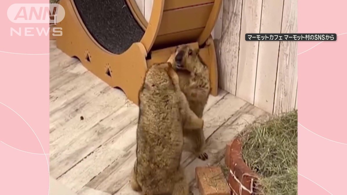 立ち上がり、向かい合う