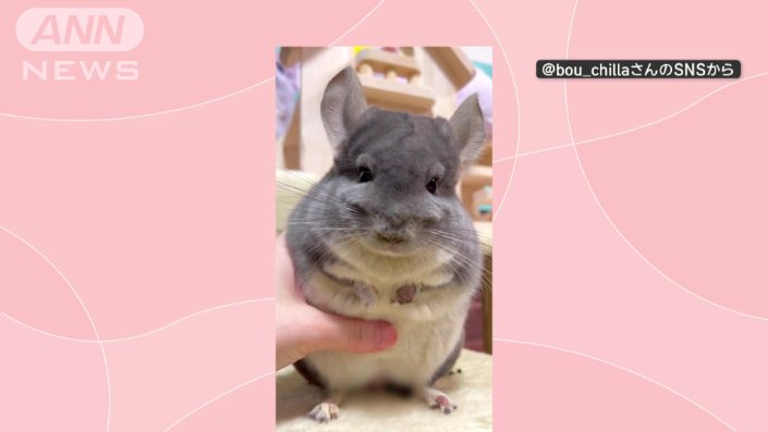 親指でやさしく押しても、可愛い鳴き声