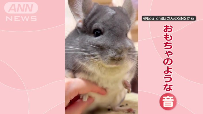 人さし指でおなかをさすると、おもちゃのような音