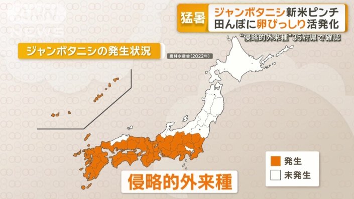 農水省と環境省は「侵略的外来種」に分類