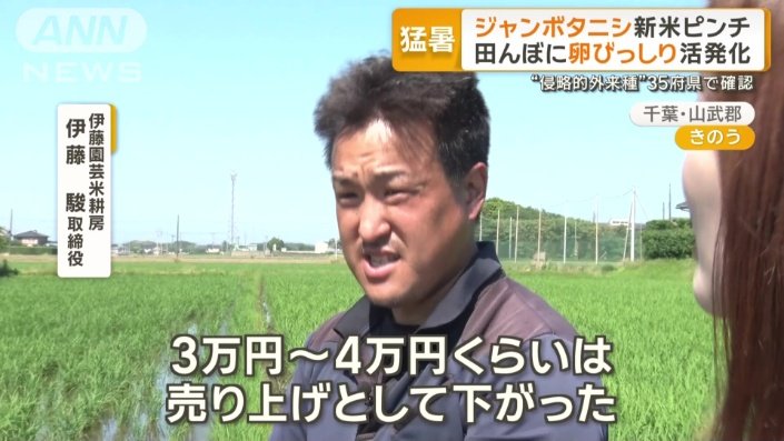 伊藤園芸米耕房　伊藤駿取締役