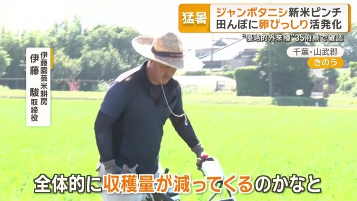 早くも今年の収穫量に心配の声