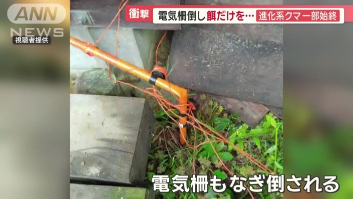 電気柵もなぎ倒される