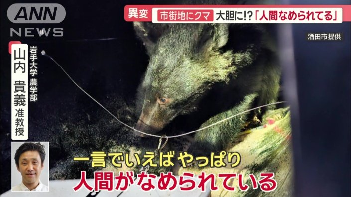 「人間がなめられている」