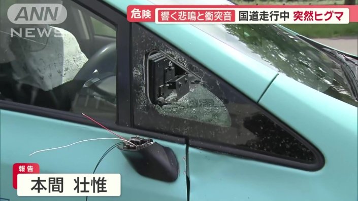 根元から完全に折れたドアミラー