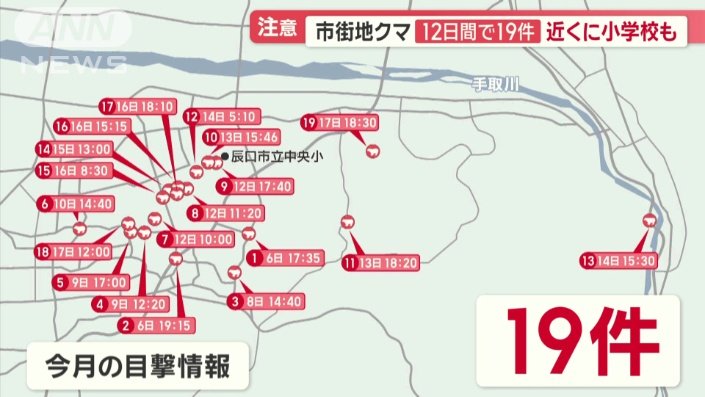 19件の目撃情報