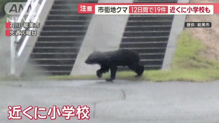 10日に撮影されたクマ