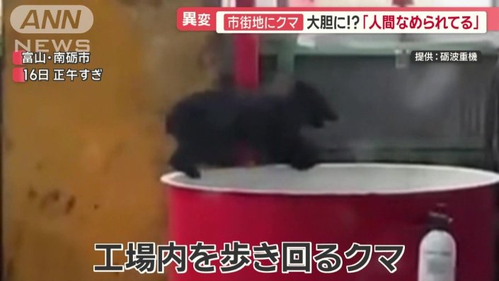 工場内を歩き回るクマ