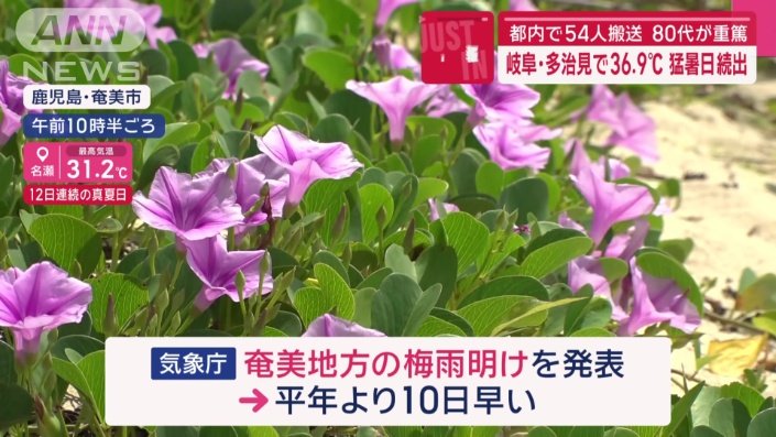 奄美地方が梅雨明け