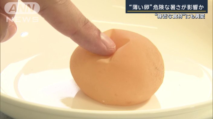 殻が軟らかいタマゴ