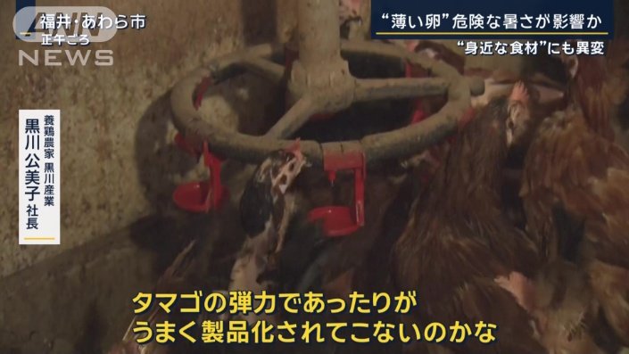 養鶏農家黒川産業　黒川公美子社長