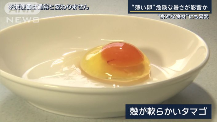 殻が軟らかいタマゴ