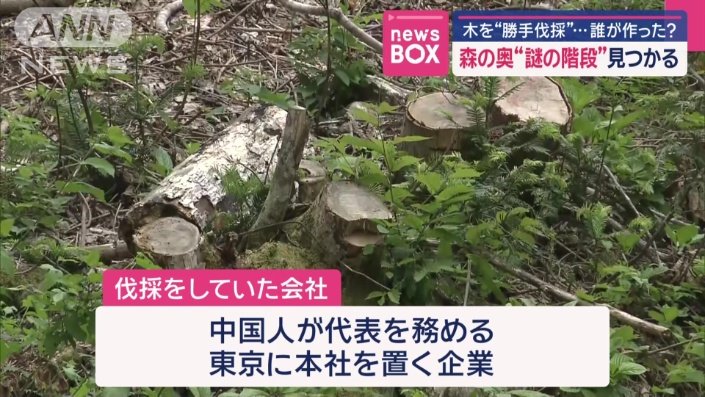伐採をしていた会社