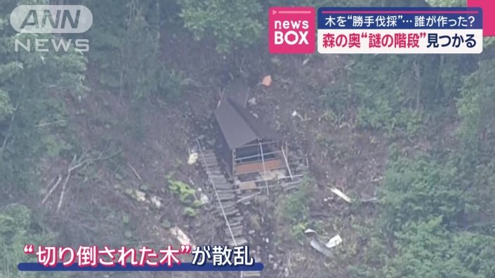 小屋のような建物