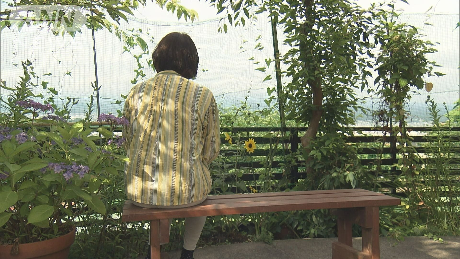 相嶋さんの妻