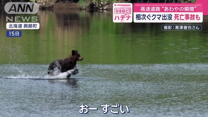 体長約2mのオスの成獣