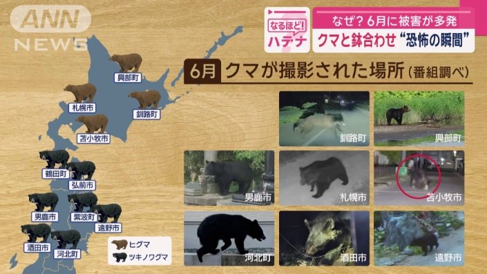 6月にクマが撮影された場所（番組調べ）