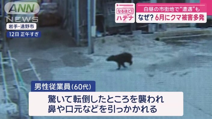 白昼の市街地で“遭遇”も