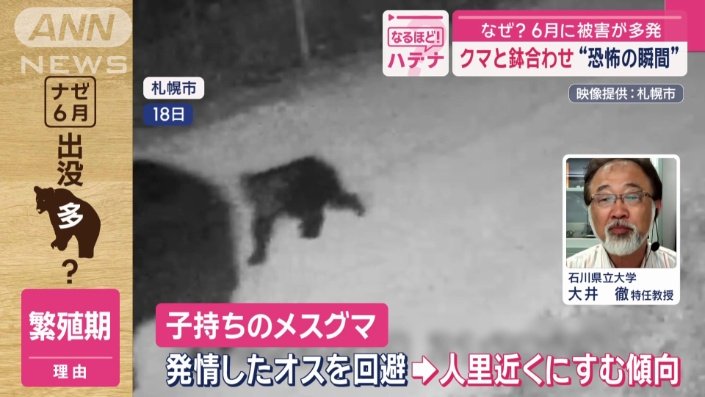 繁殖期である6月から7月は特に注意