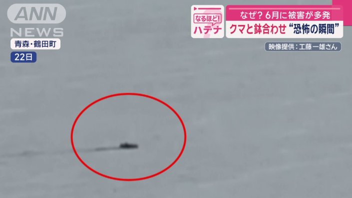ため池の水面から顔を出して泳ぐクマ