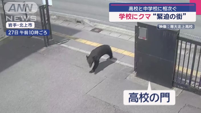 高校にクマ