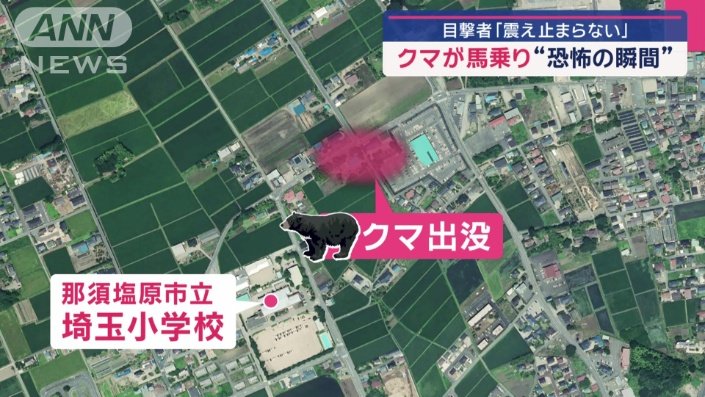 小学校のそばの住宅街