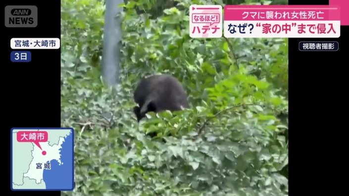 撮影者の自宅の庭にクマ