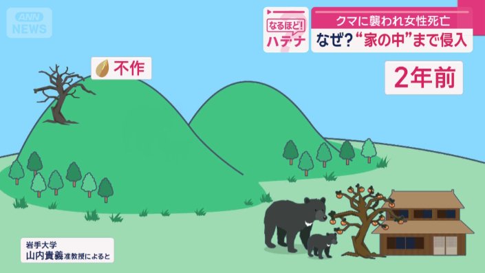 クマの子どもが人間の社会に慣れたまま成長