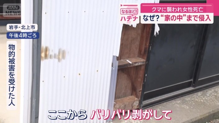 倉庫の壁がはがれているのが見つかる