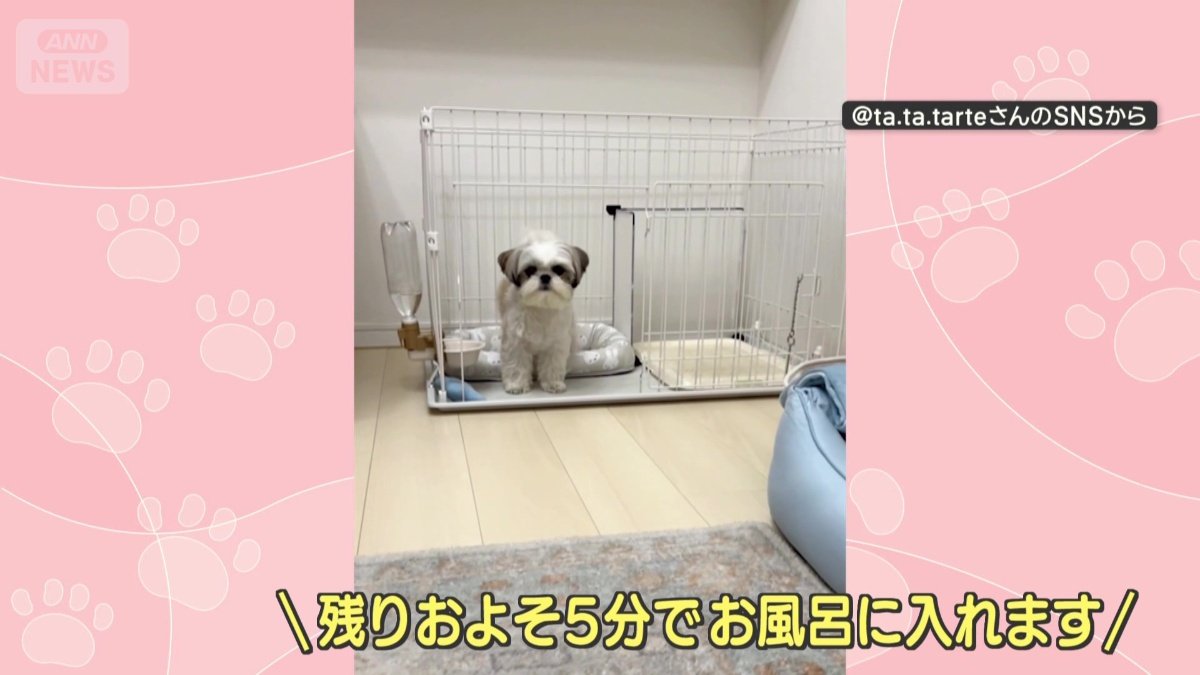 残り5分のチャイムにも反応！