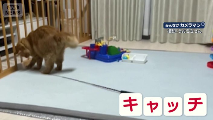 自分で動かした羽根をキャッチ！