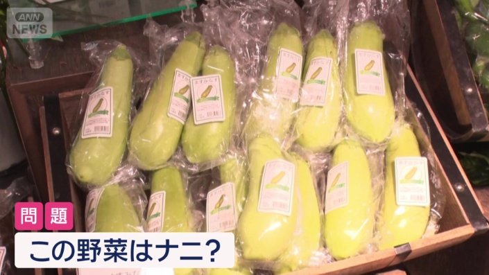 大阪のブランド「ナス」