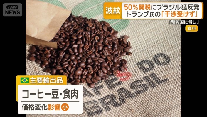 ブラジル全体経済への影響は小さい