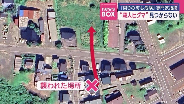 50メートル先の草むらに引きずり込まれた