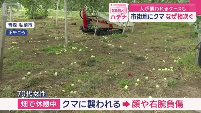 被害が起きたのはリンゴ畑