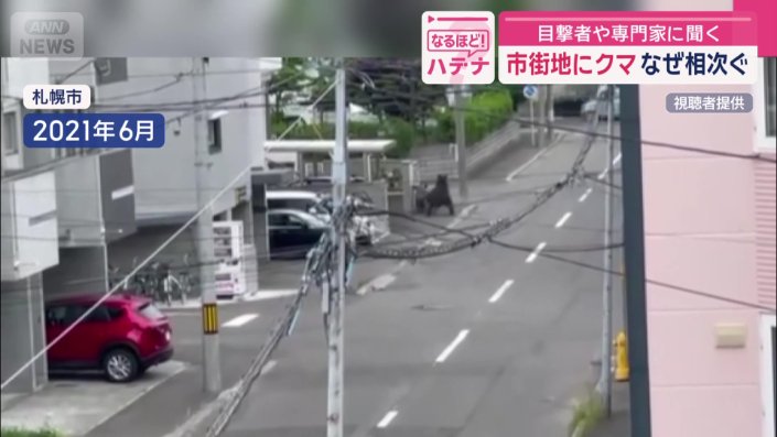 道路を歩く安藤さんを背後から襲うクマ