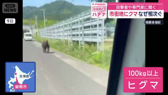 １００キロ以上はあると見られる巨大なヒグマ