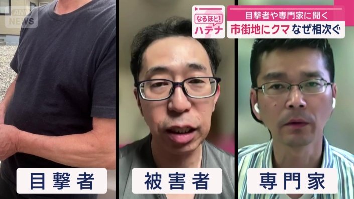 それぞれの証言や見解から検証