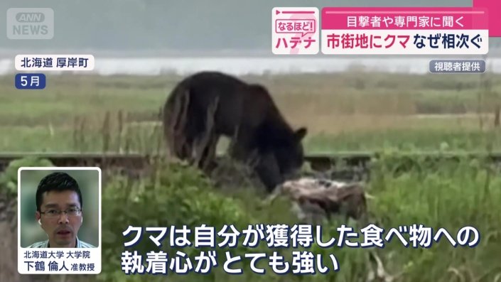 なぜ、人を襲うのか