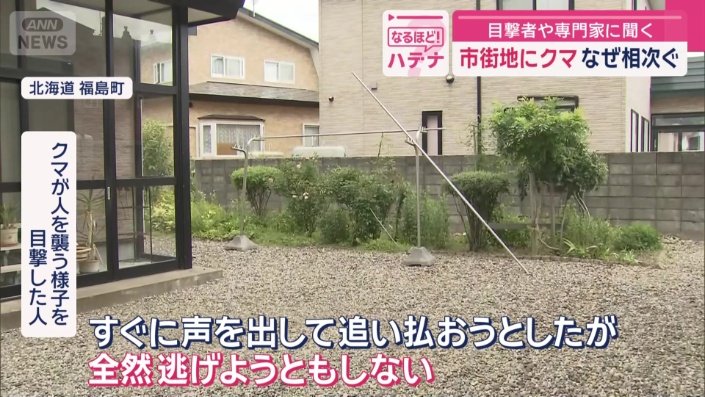 目撃者