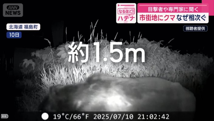 体長はおよそ１.５メートル