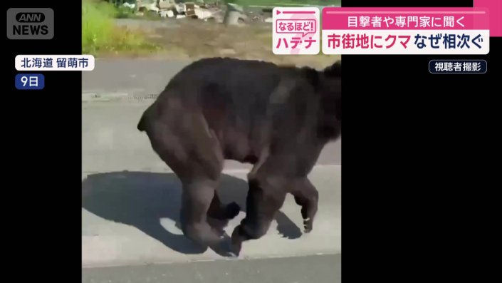 後ろ脚は、筋肉が大きく盛り上がっている