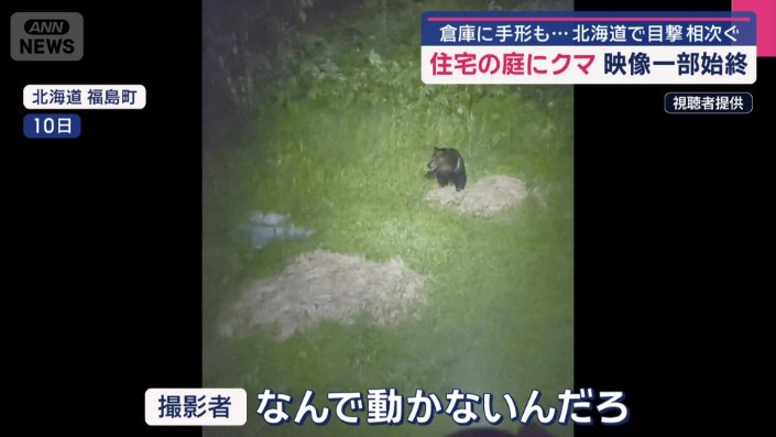 住宅の庭に現れたクマ