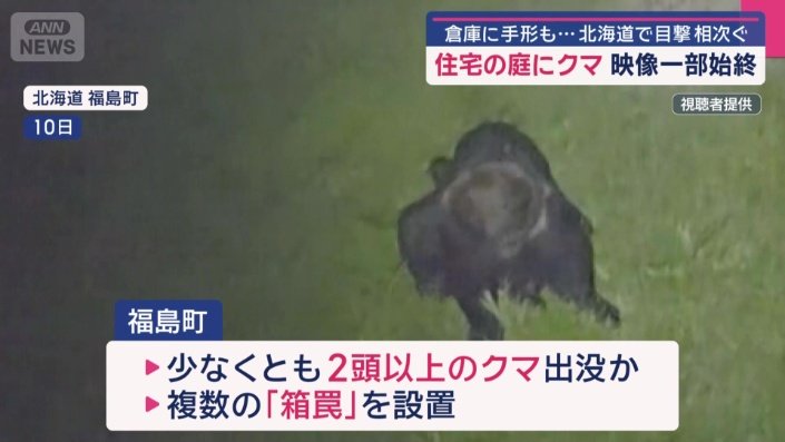 少なくとも2頭以上のクマが出没か