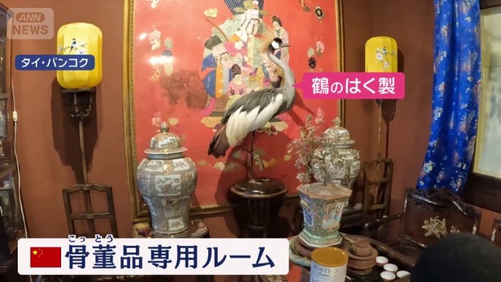 骨董品専用ルーム