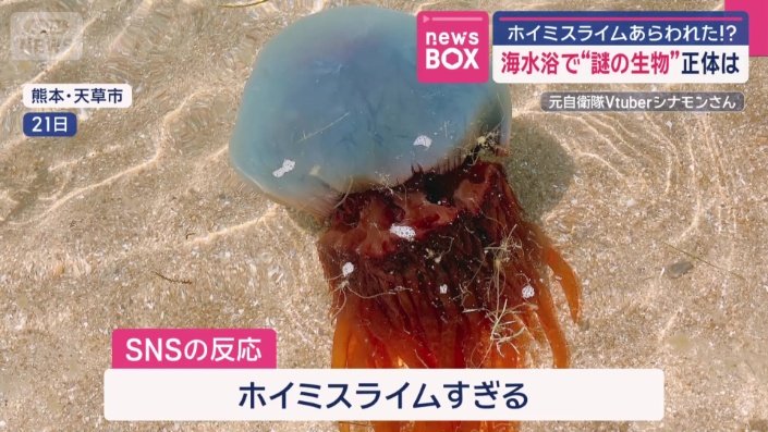 「ホイミスライムすぎる」とネットも騒然