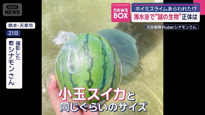 小玉スイカと同じくらいのサイズ