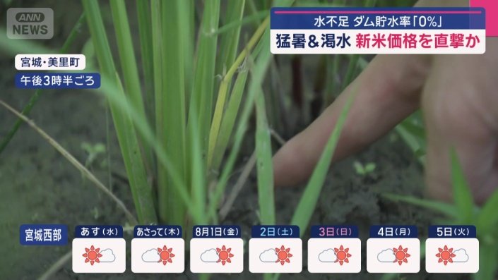 まとまった雨の予報は出ていない