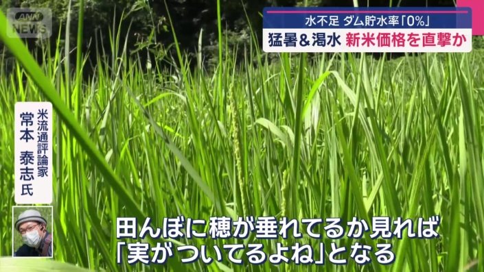米流通評論家　常本泰志氏
