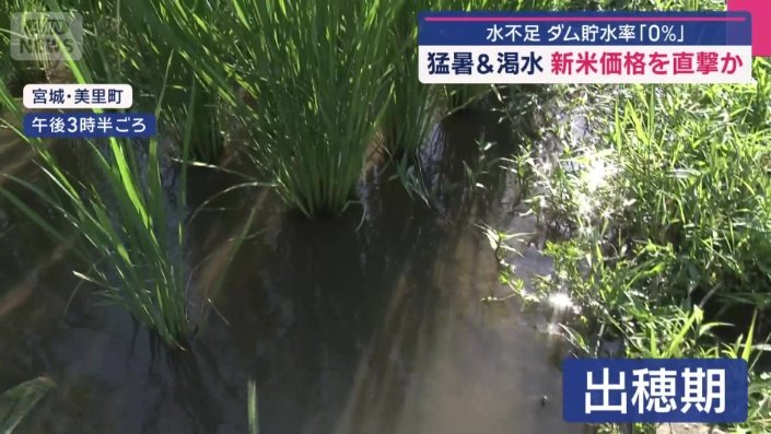 コメへの影響は？
